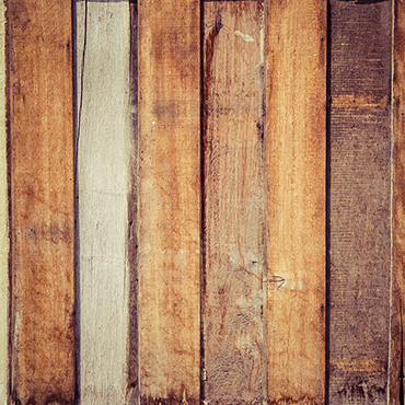 arte. immagine 029.jpg