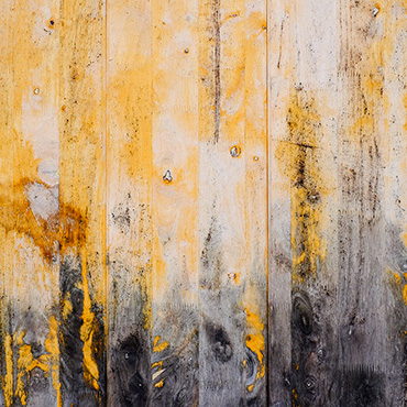 arte. immagine 036.jpg